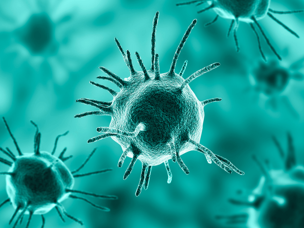 Animal and Zoonotic Diseases in the Ancient and Late Antique Mediterranean: Three Case Studies