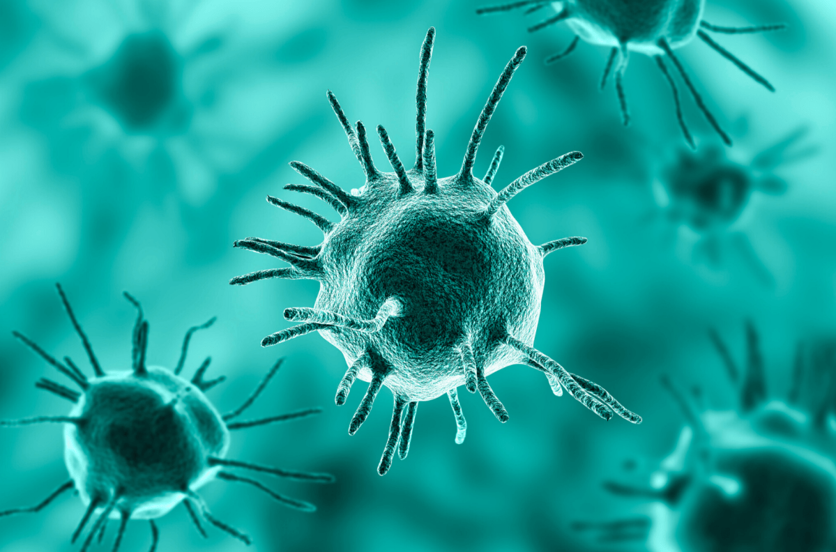 Animal and Zoonotic Diseases in the Ancient and Late Antique Mediterranean: Three Case Studies